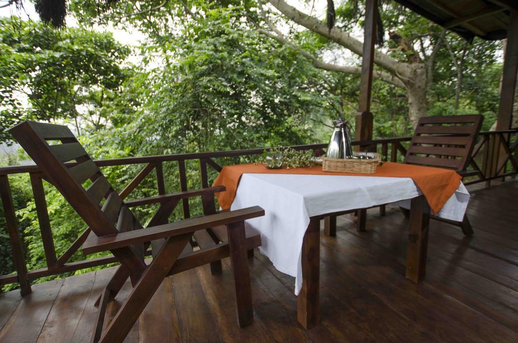 Ella Jungle Inn Kahatamaditta Exteriör bild